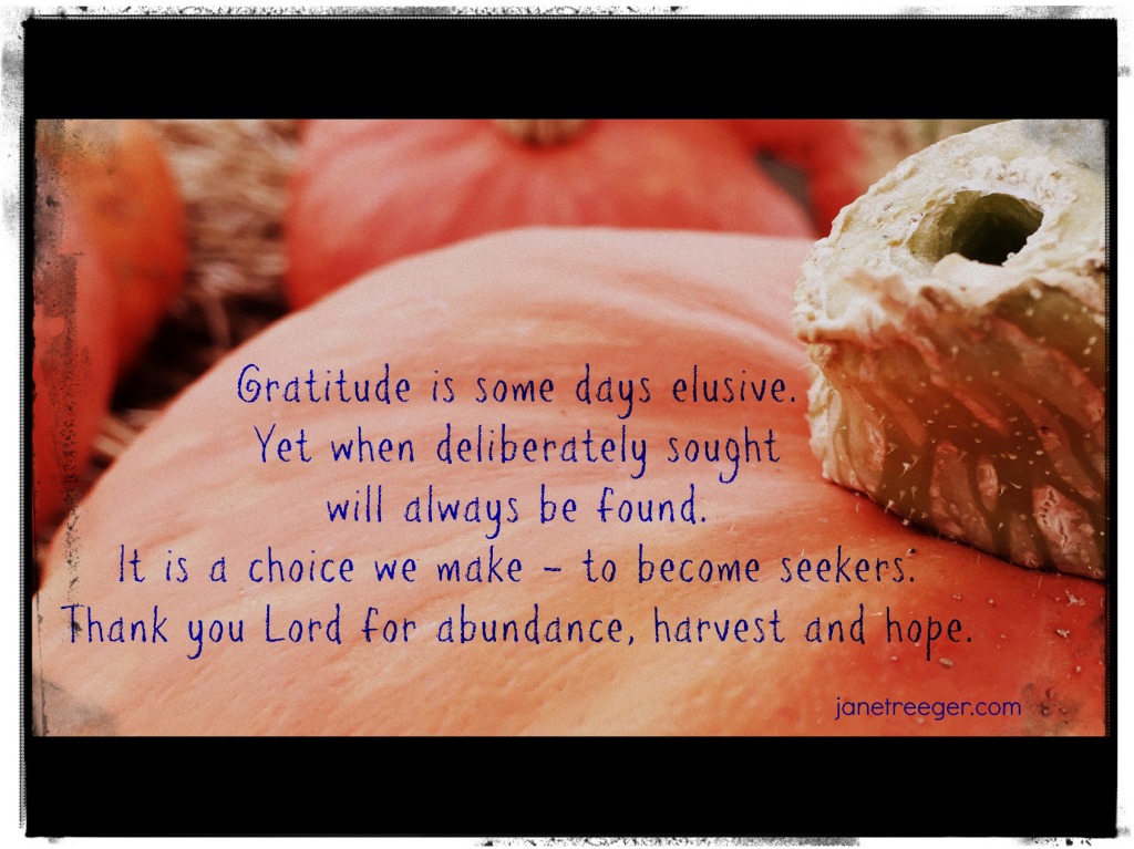 gratitude pumpkin