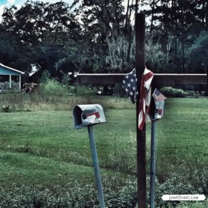 A cross, two flags represented the hope of this family. Behind the trees lay the remnants of the flooded home. Louisiana floods of 16. 