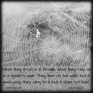 spider-web-fragile-w-sig-picmonkey